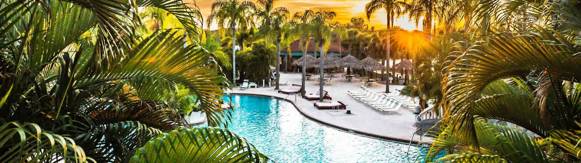 Caliente Pool banner